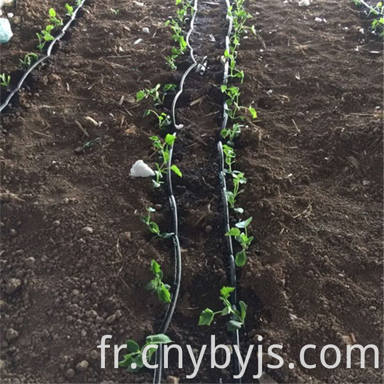 Drip Irrigation 93